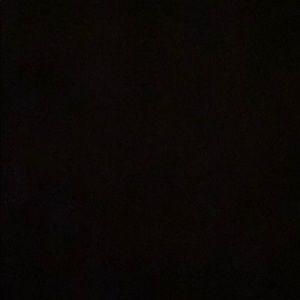 Meet your Posher, Elissa